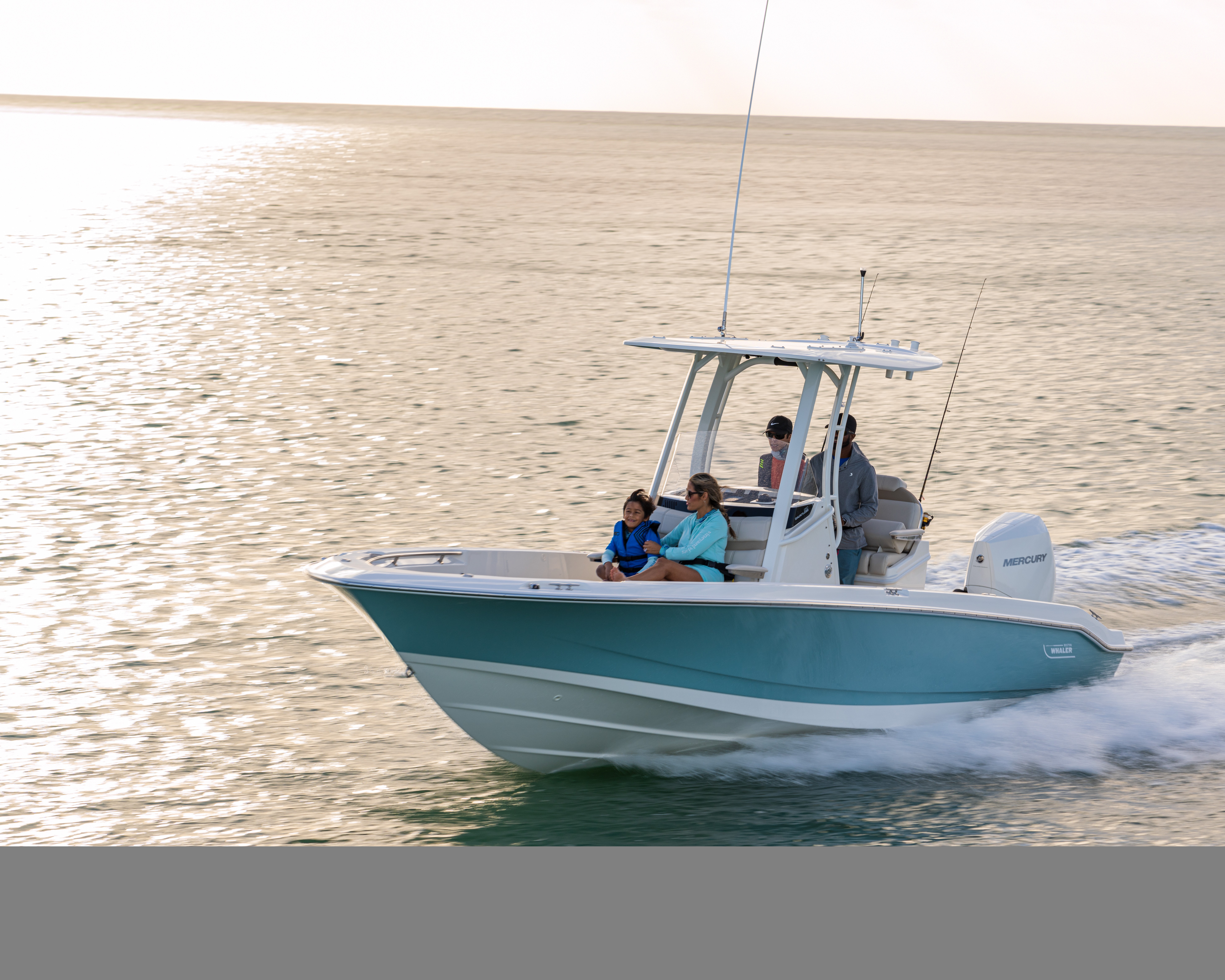 Boston Whaler 250 Dauntless